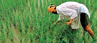 PM Kisan: ఆ రైతులు డబ్బులు తిరిగివ్వాలి..